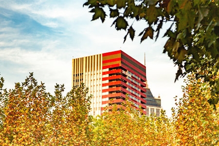 华东师范大学.jpg