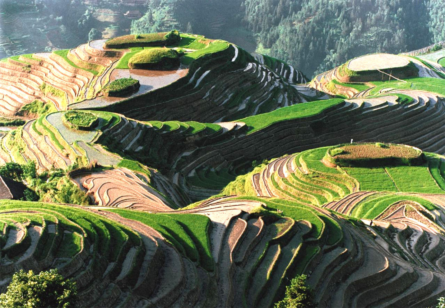 自然地理与资源环境专业比较冷门，适合地理好的学生